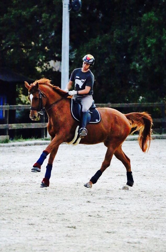 Doble Oro de Antonio Laiz y gran actuación de los jinetes y amazona navarros en el CP Nacional Doma Clásica 2** del Real Club Polo de Barcelona